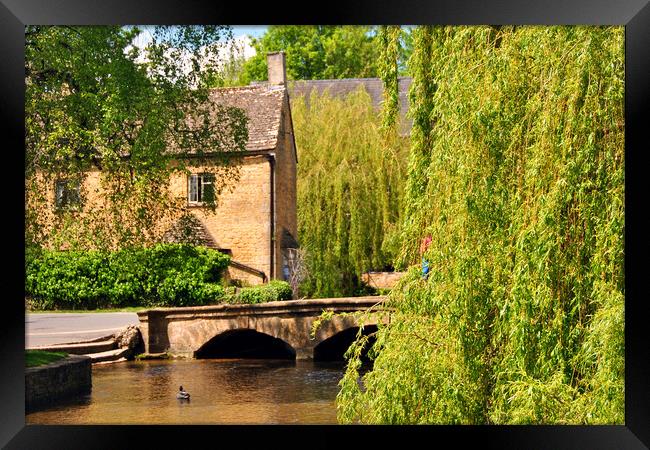 Bourton on the Water River Windrush Cotswolds Gloucestershire Framed Print by Andy Evans Photos