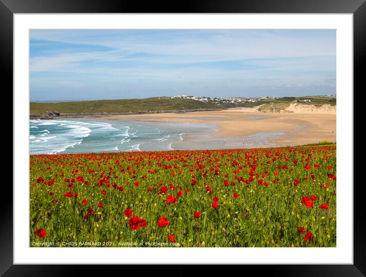 Poppies West Pentire Framed Mounted Print by CHRIS BARNARD