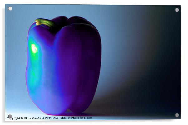 Neon Pepper Acrylic by Chris Manfield