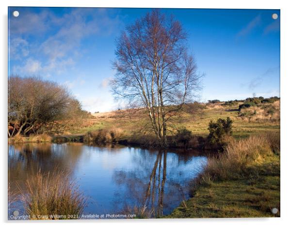 Ellison;s Pond, Ashdown Forest  Acrylic by Craig Williams