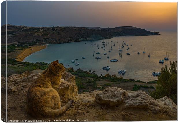 Sunset and cat watching the sea and boats, Gozo Ma Canvas Print by Maggie Bajada