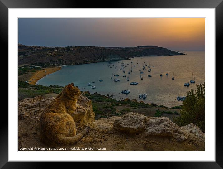 Sunset and cat watching the sea and boats, Gozo Ma Framed Mounted Print by Maggie Bajada