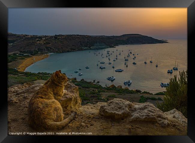 Sunset and cat watching the sea and boats, Gozo Ma Framed Print by Maggie Bajada