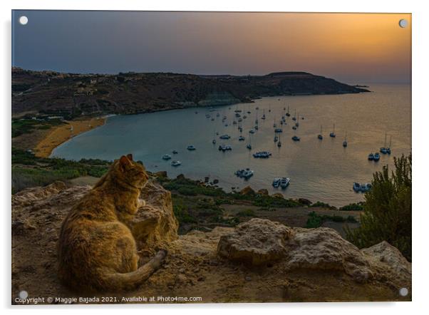 Sunset and cat watching the sea and boats, Gozo Ma Acrylic by Maggie Bajada