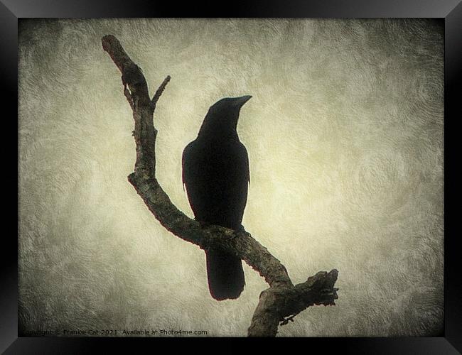 Crow Framed Print by Frankie Cat