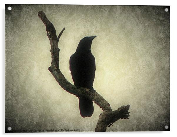 Crow Acrylic by Frankie Cat
