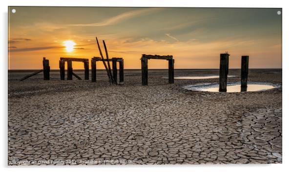 Snettisham Beach North Norfolk  Acrylic by David Powley