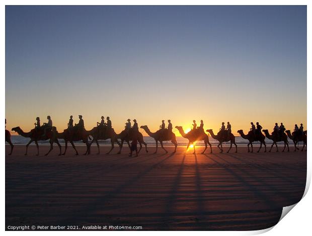 Broome Australia camel ride Print by Peter Barber