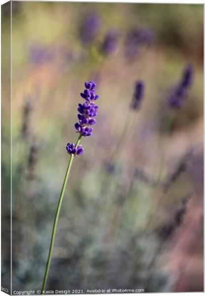 Lavender Canvas Print by Kasia Design