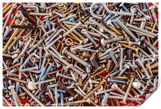 Detail of a pile of screws viewed from above for repairs. Print by Joaquin Corbalan