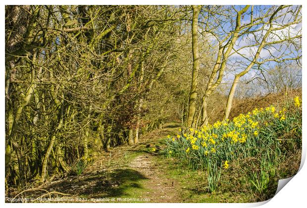 Daffodils in the Woods Print by Michael Shannon