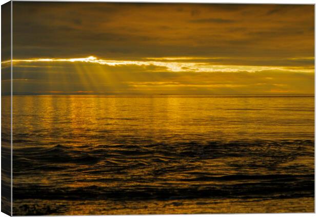 Golden sunset with sun rays Canvas Print by Rory Hailes