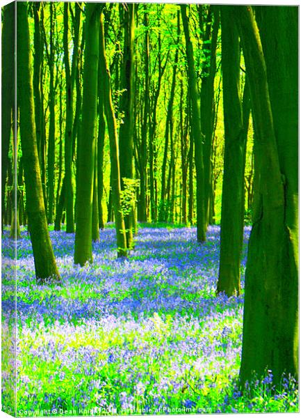 Wood you wish to visit ? Canvas Print by Dean Knight