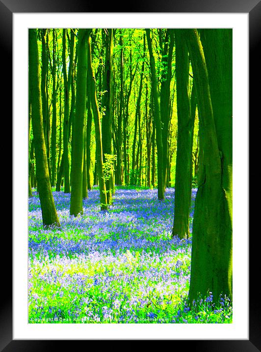Wood you wish to visit ? Framed Mounted Print by Dean Knight