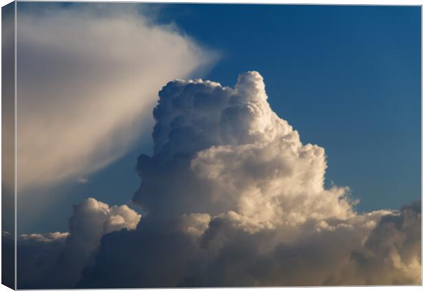 Cumulus cloud Canvas Print by Rory Hailes