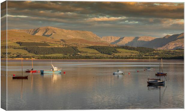 View from Beaumaris Canvas Print by Rory Trappe