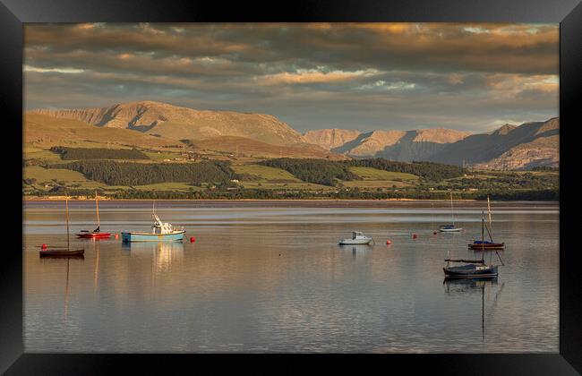 View from Beaumaris Framed Print by Rory Trappe