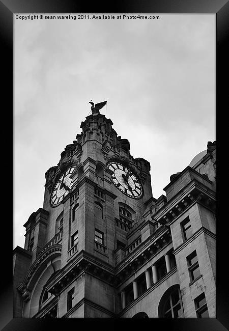 The Liver clock tower Framed Print by Sean Wareing