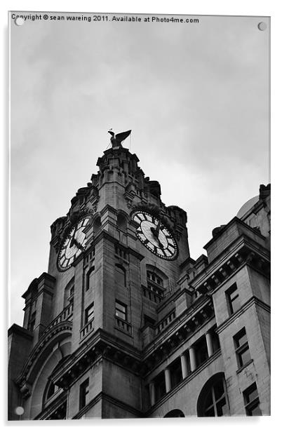 The Liver clock tower Acrylic by Sean Wareing