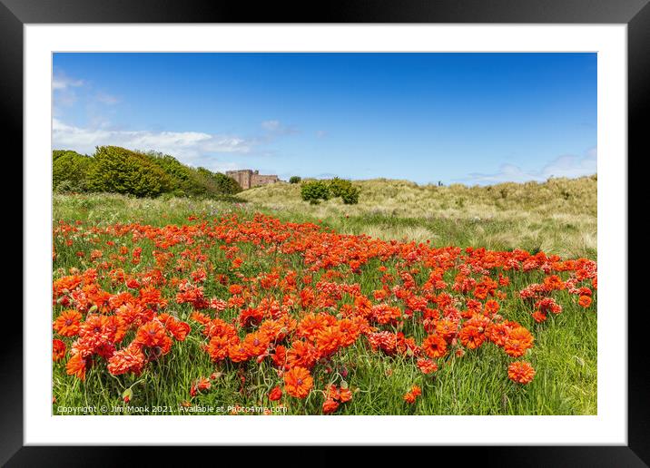 Bamburgh Poppies Framed Mounted Print by Jim Monk
