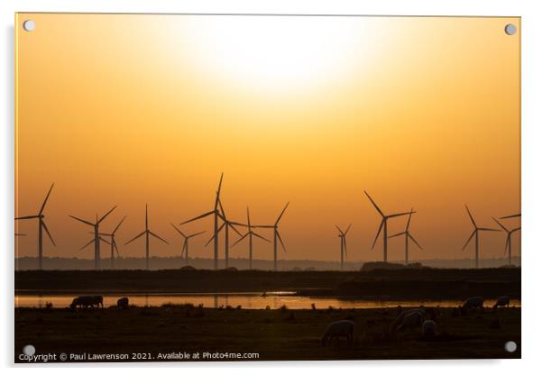 Little Cheyne wind farm Acrylic by Paul Lawrenson