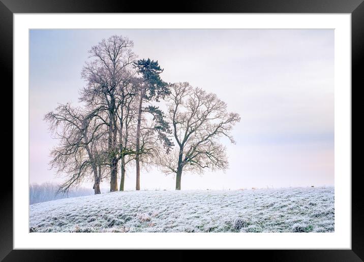 Winter Hillside. Framed Mounted Print by Bill Allsopp