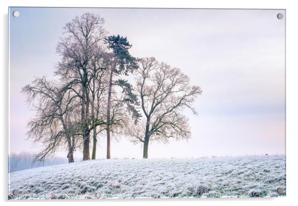 Winter Hillside. Acrylic by Bill Allsopp