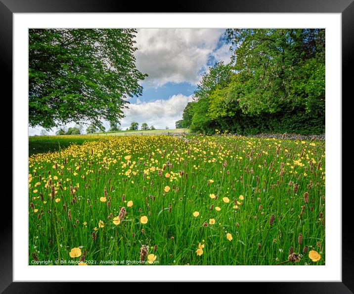 Buttercup meadow. Framed Mounted Print by Bill Allsopp