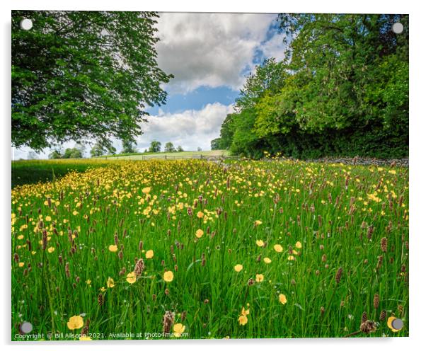Buttercup meadow. Acrylic by Bill Allsopp