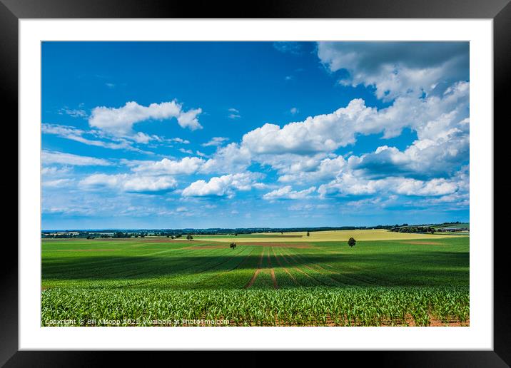 As far as the eye can see. Framed Mounted Print by Bill Allsopp