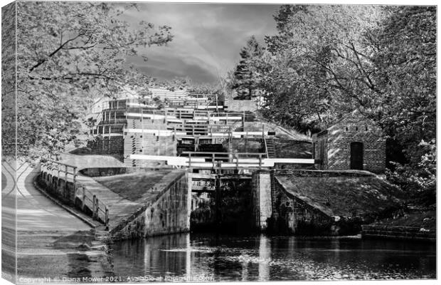 Bingley Five Rise Locks Yorkshire Monochrome Canvas Print by Diana Mower