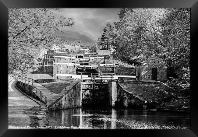 Bingley Five Rise Locks Yorkshire Monochrome Framed Print by Diana Mower