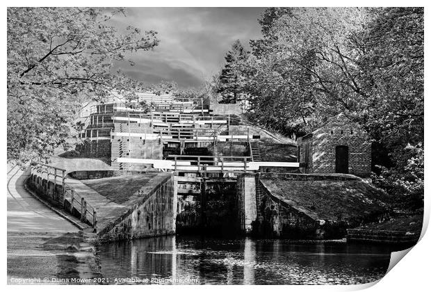 Bingley Five Rise Locks Yorkshire Monochrome Print by Diana Mower