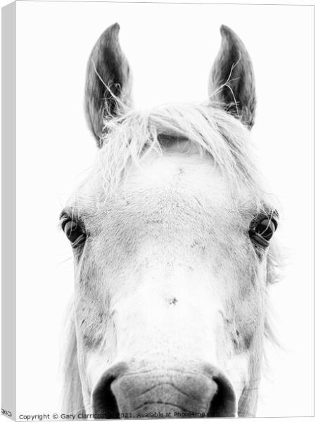 Horse Portrait Canvas Print by Gary Clarricoates