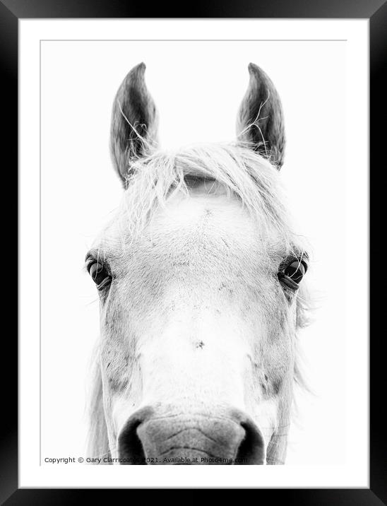 Horse Portrait Framed Mounted Print by Gary Clarricoates