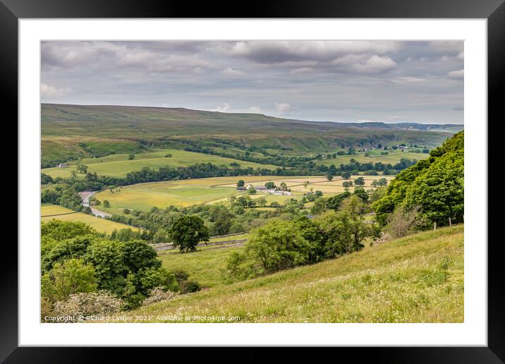 Teesdale Summer Meadows Framed Mounted Print by Richard Laidler