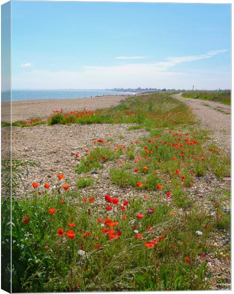 Wild poppies Hythe Ranges  Canvas Print by Antoinette B