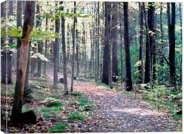 Beaver Trail Canvas Print by Stephanie Moore