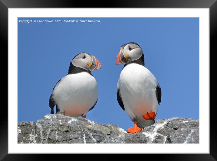 Happy Feet Framed Mounted Print by claire chown