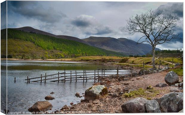 Views across Ennerdale Water The Lake District  Canvas Print by Angela Wallace