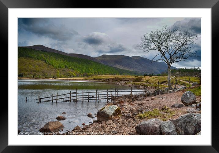 Views across Ennerdale Water The Lake District  Framed Mounted Print by Angela Wallace