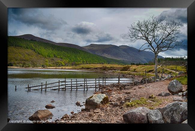 Views across Ennerdale Water The Lake District  Framed Print by Angela Wallace