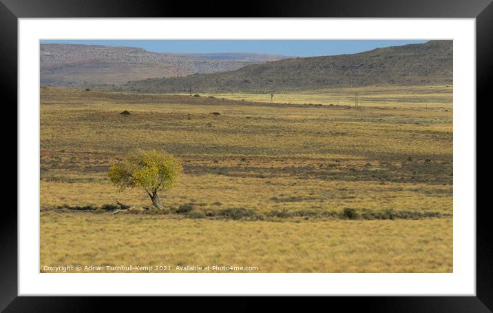 Lone yellow tree Framed Mounted Print by Adrian Turnbull-Kemp