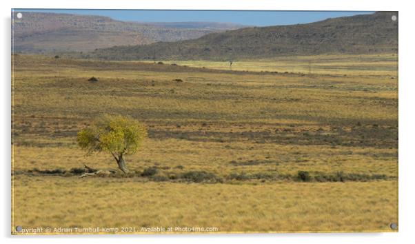 Lone yellow tree Acrylic by Adrian Turnbull-Kemp