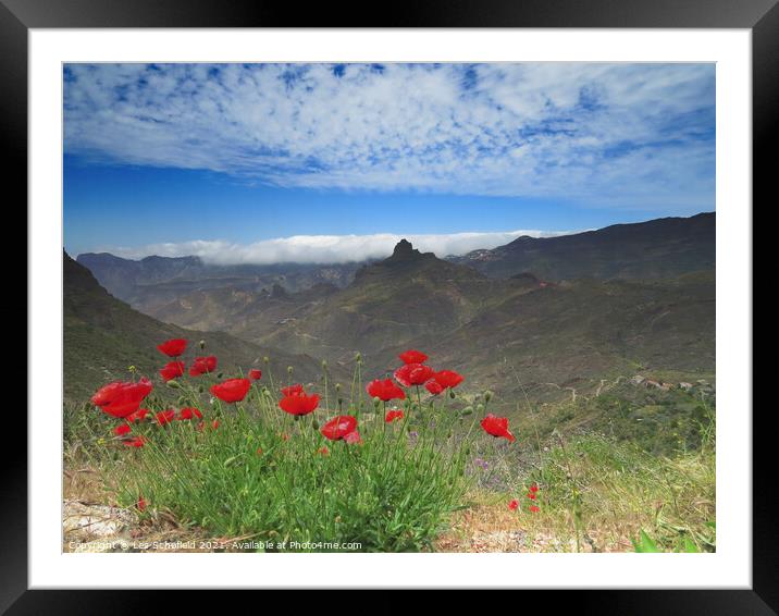 Poppies in the Mountains Framed Mounted Print by Les Schofield