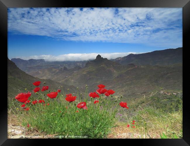 Poppies in the Mountains Framed Print by Les Schofield