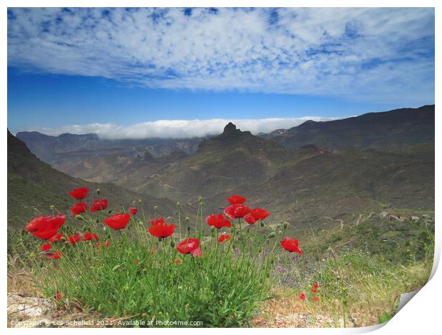 Poppies in the Mountains Print by Les Schofield
