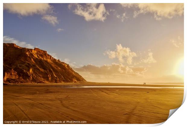 Mountain and beach landscape in New Zealand Print by Errol D'Souza