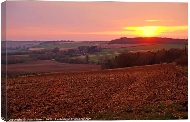 Lincolnshire Wolds Sunset Canvas Print by Diana Mower