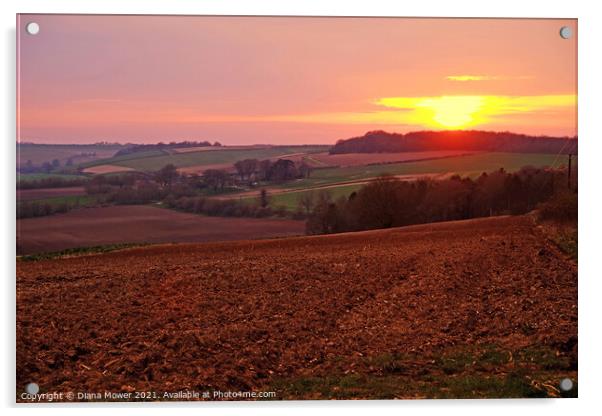 Lincolnshire Wolds Sunset Acrylic by Diana Mower